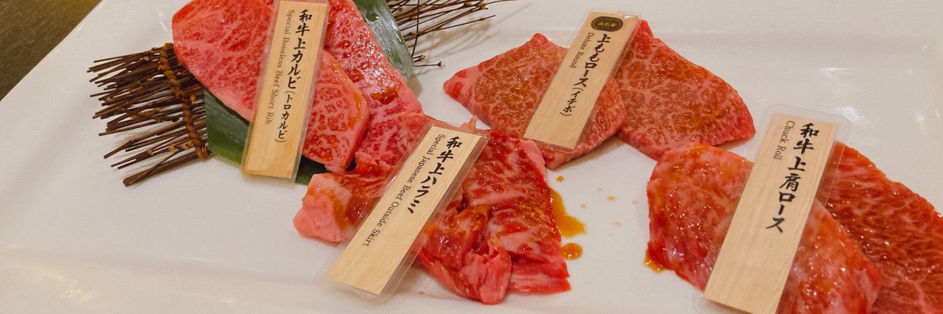 252576Hoshico's profile banner image