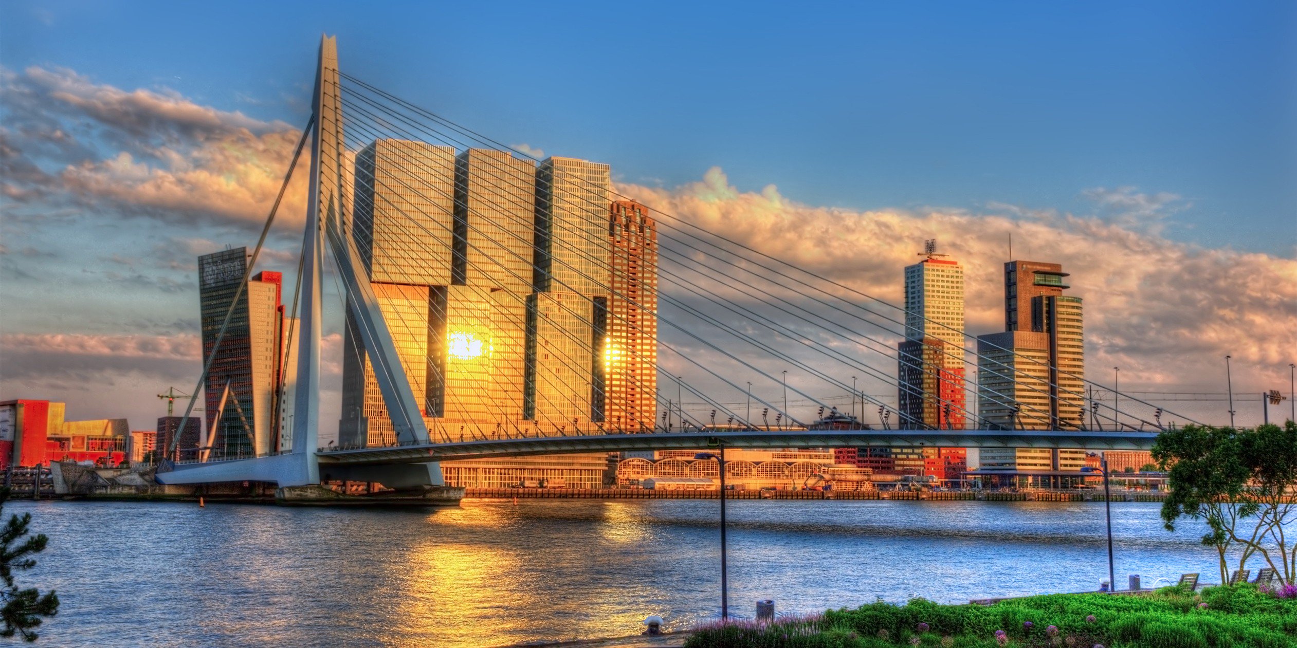 peter_broer's profile banner image