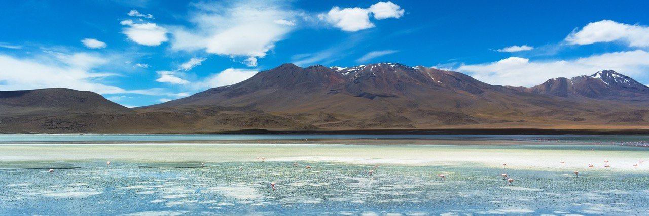 Saran Muthiah banner