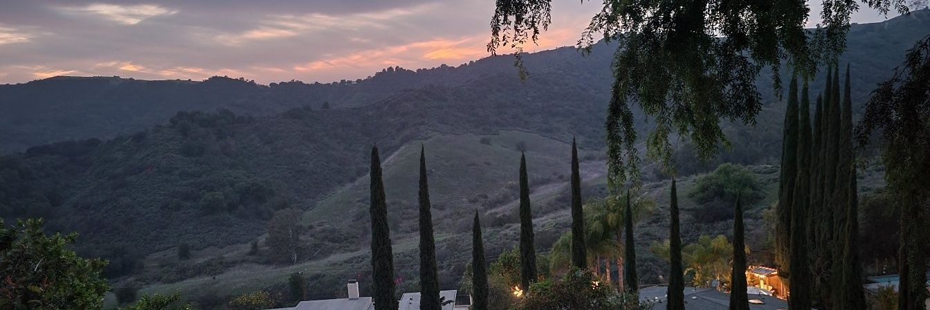Courtneylaroc's profile banner image