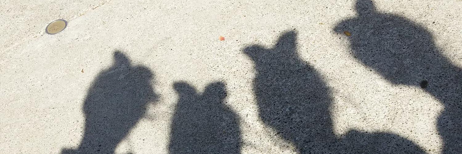 فـــرز ✈️③ banner