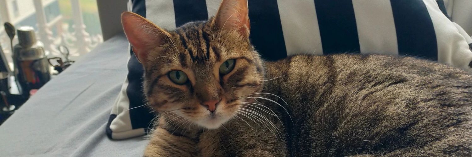 zeyszeys's profile banner image