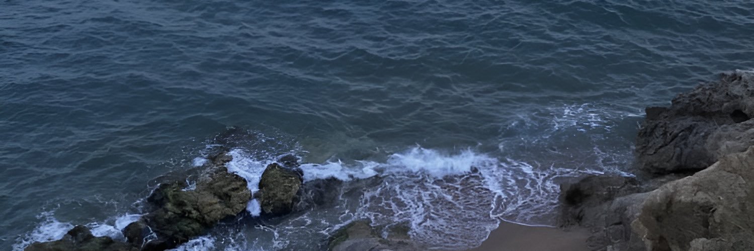 insrsf's profile banner image