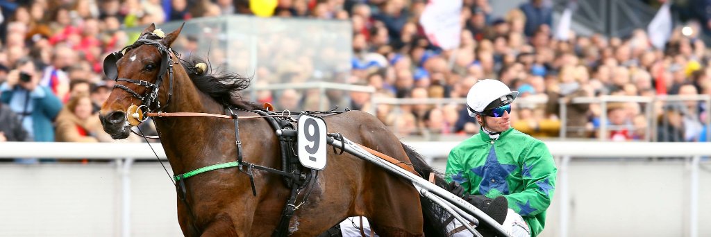 Osarus_Trot's profile banner image
