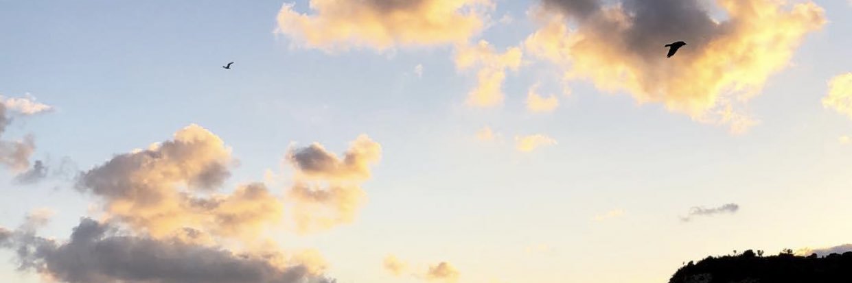 berfindilaust's profile banner image