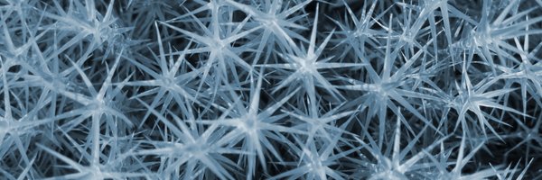 NinetiesGhosts Profile Banner