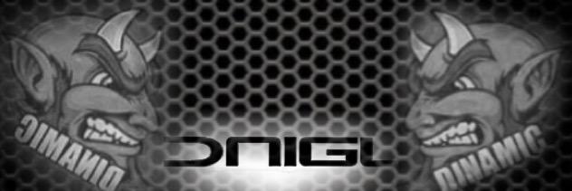 Dnigl3's profile banner image