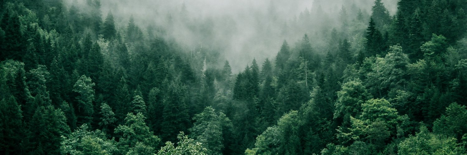 Arnaud LAHAXE 🃏 banner