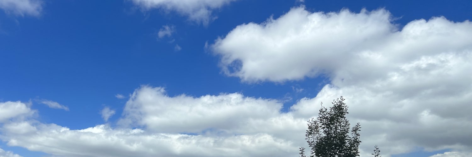 JohnRodriguezBa's profile banner image