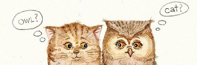 NokCountMeow's profile banner image