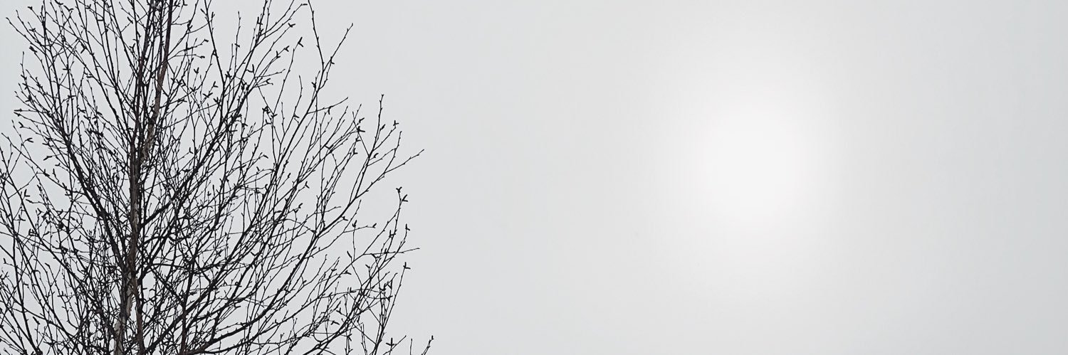 HannahVanity's profile banner image