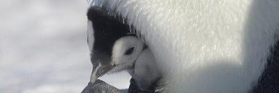 PENGINGASUKI4's profile banner image