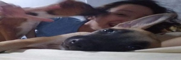 dvlachica's profile banner image