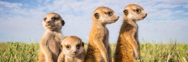 aha_td's profile banner image