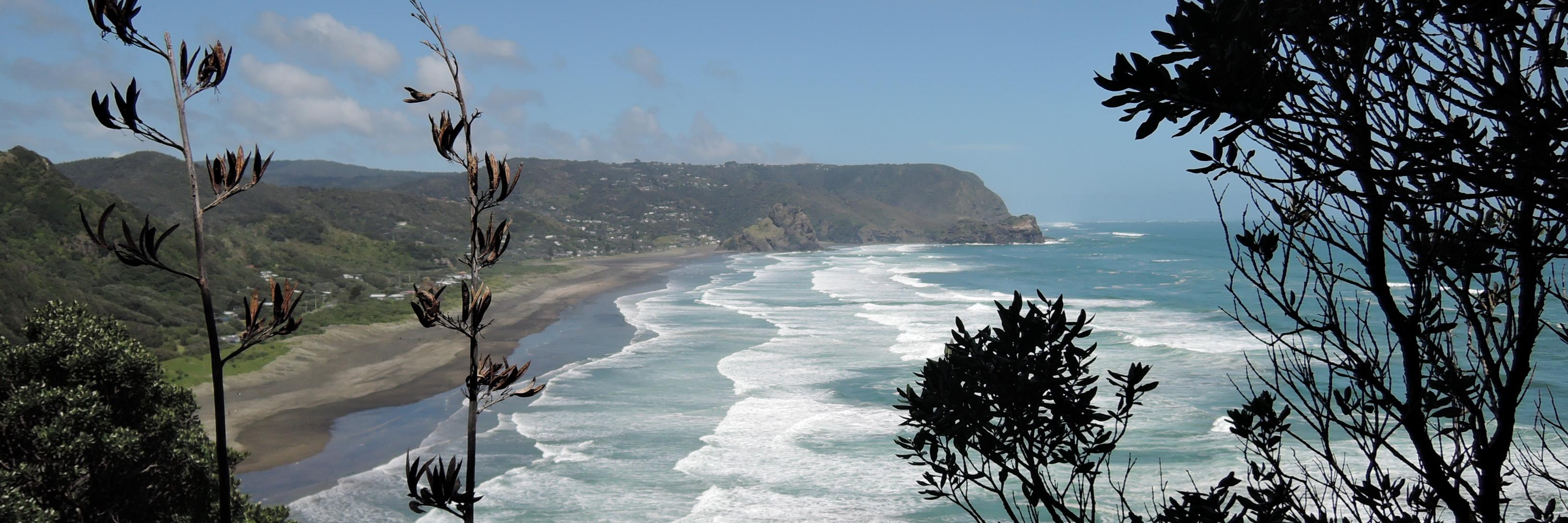 Amanda Larsson banner