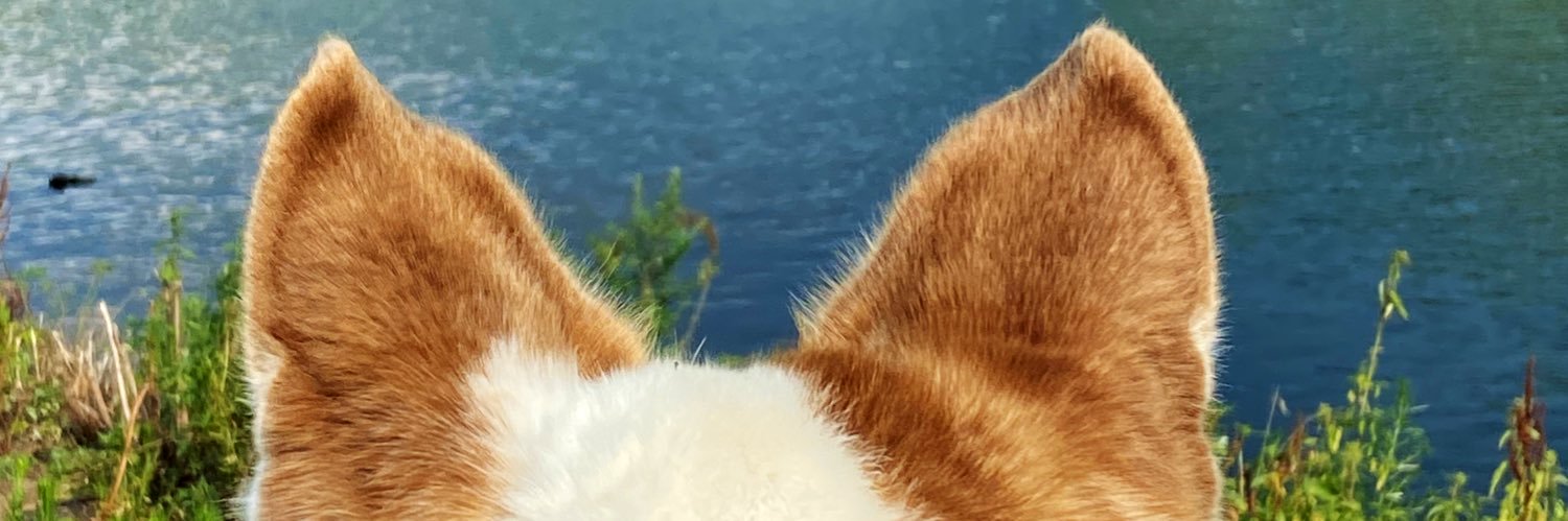 Penny the Shepsky banner