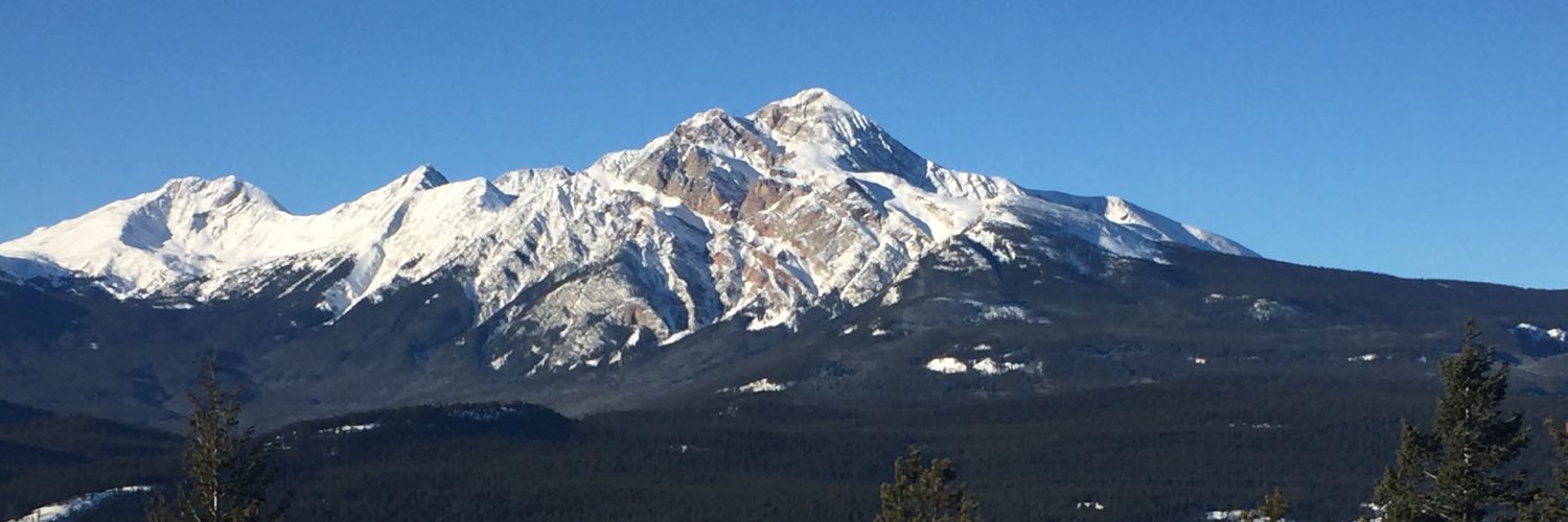 mme_sboyd's profile banner image