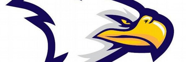 NW_Eagles Profile Banner