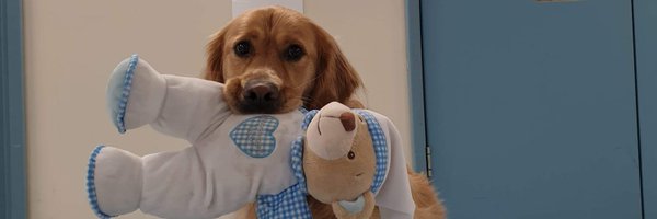 GismoPATdog Profile Banner