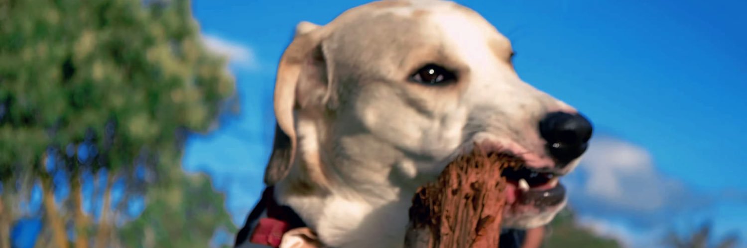 mfrxdd's profile banner image