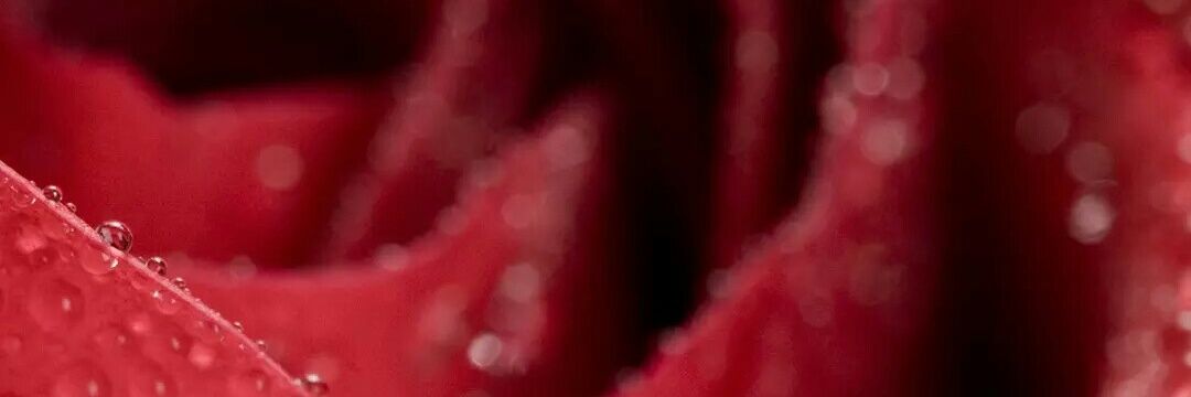 sksskshiva's profile banner image