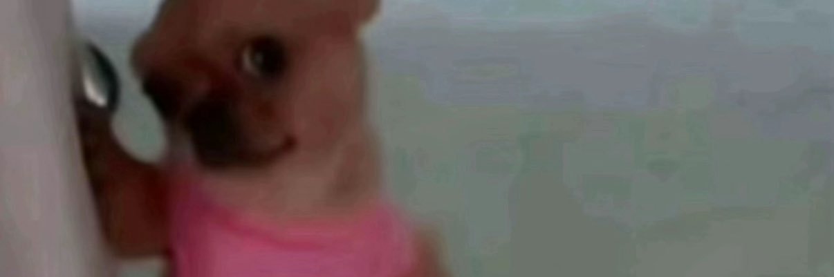 chels1204's profile banner image
