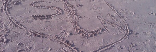 pyrusane Profile Banner