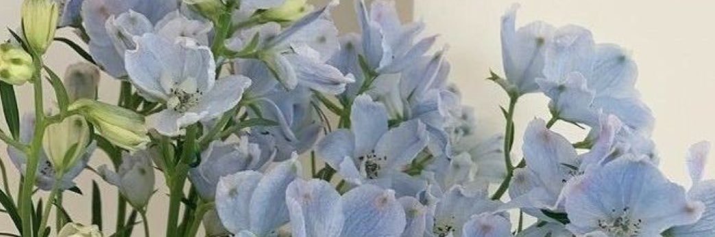citywallstyles's profile banner image