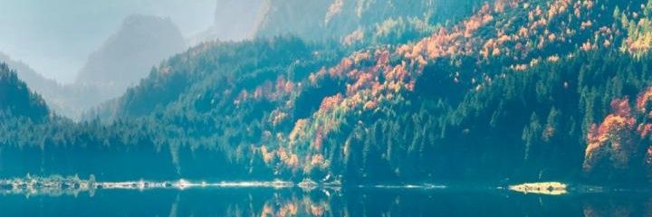 acacey_c's profile banner image