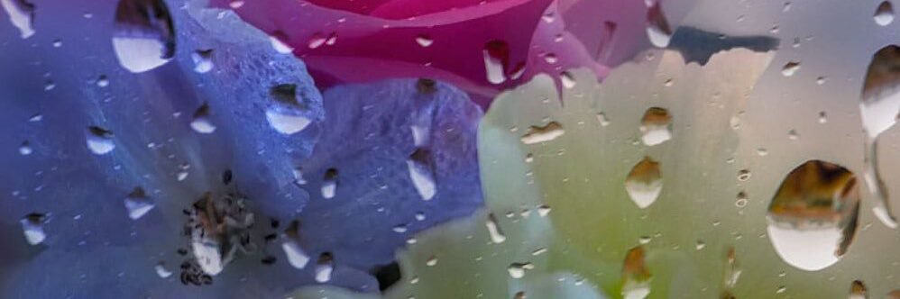 Kayacha_Blue's profile banner image