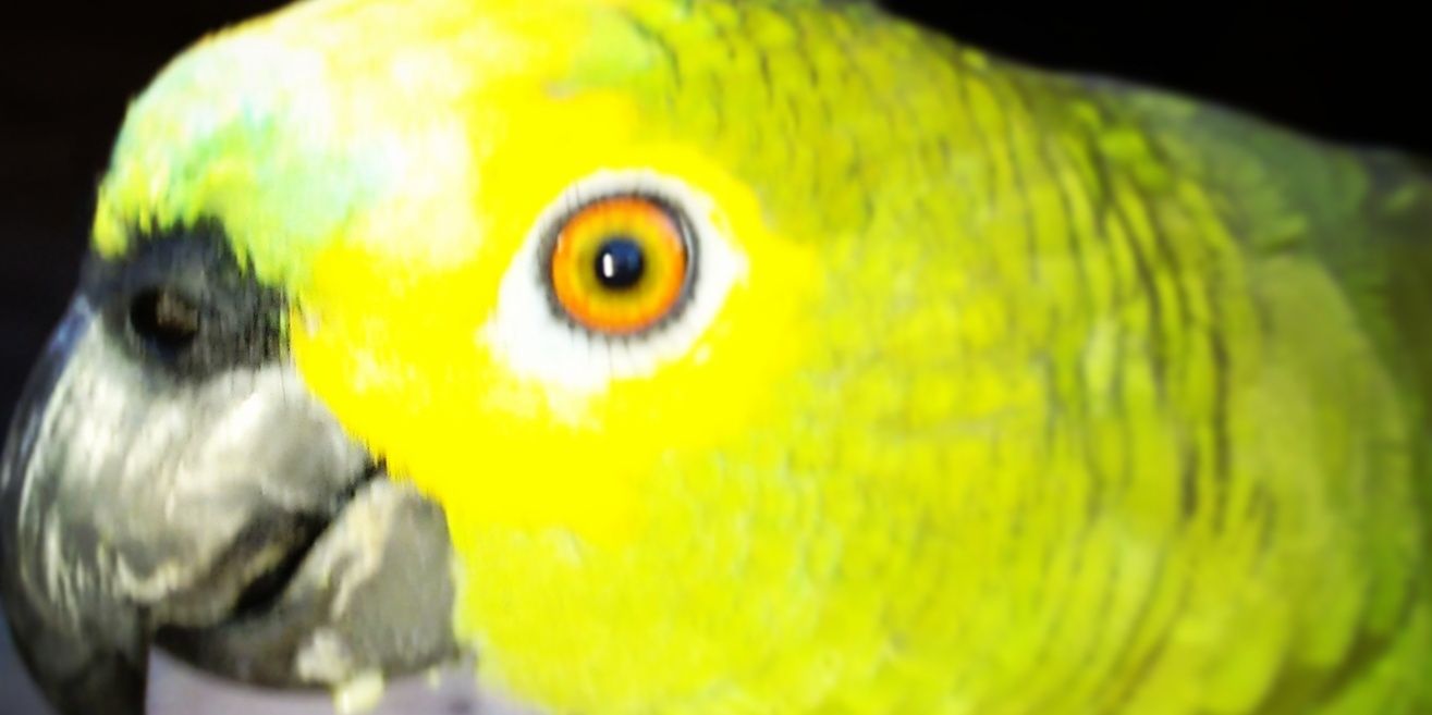 juarezfernande's profile banner image