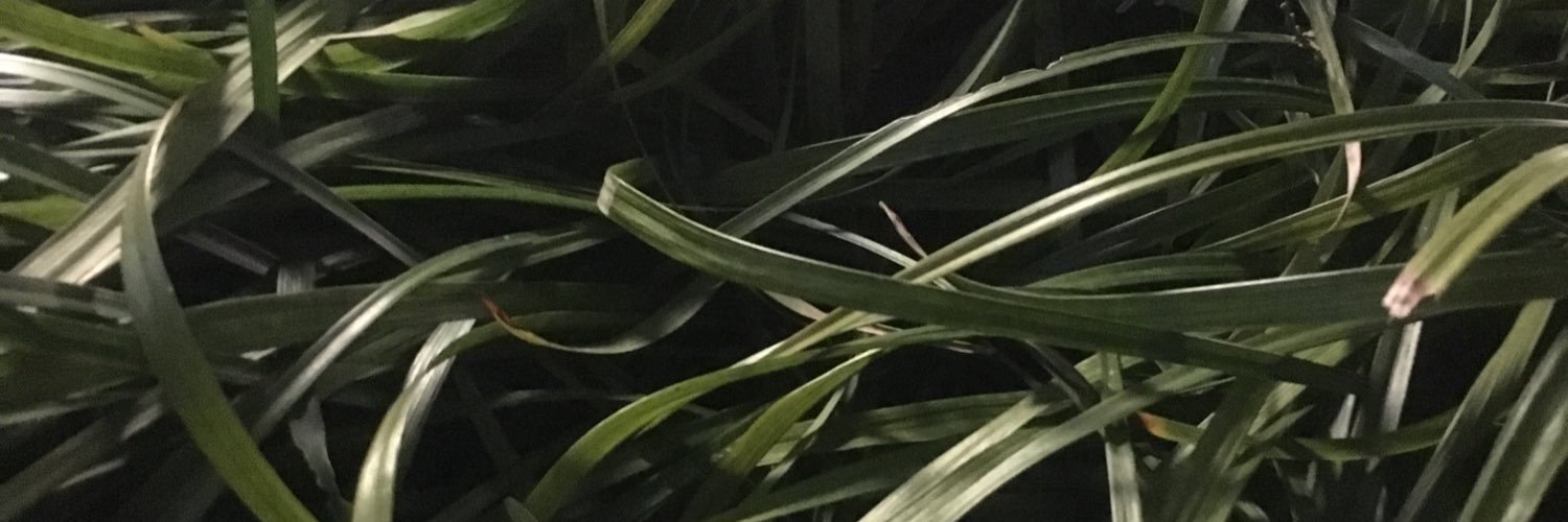 0w081323's profile banner image