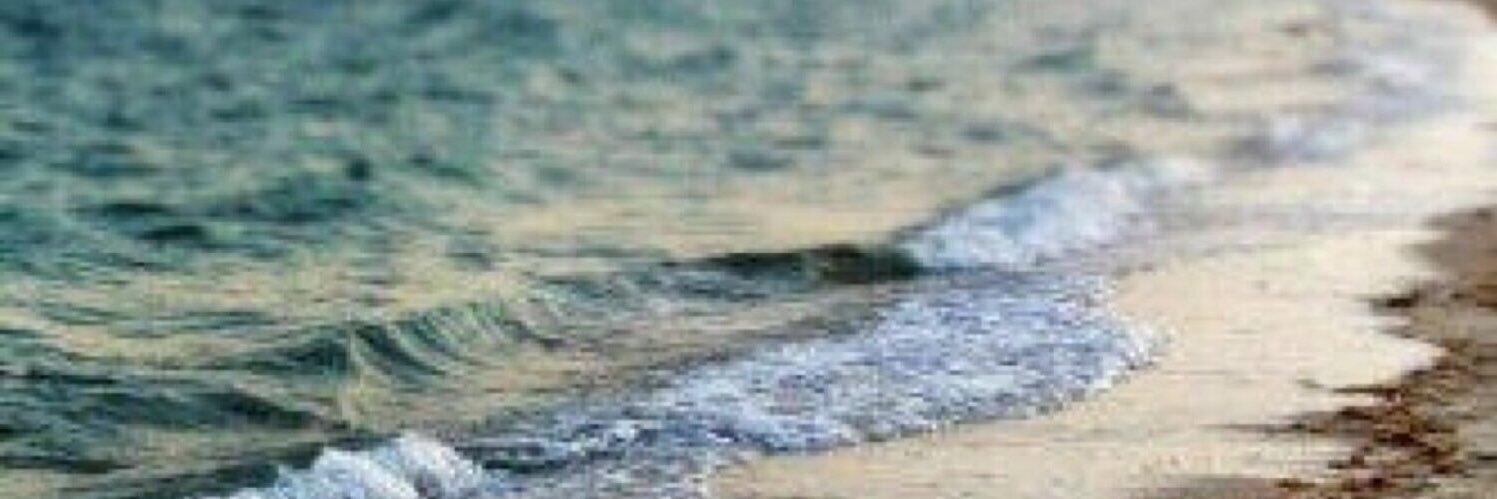 almunaif_a's profile banner image