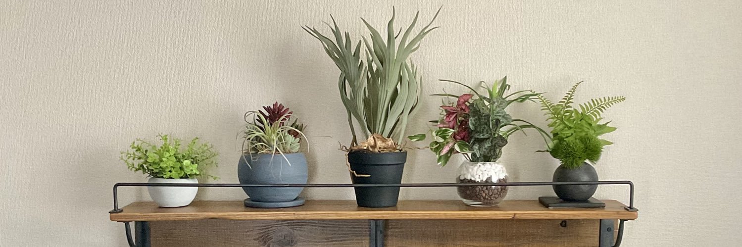 OedoCollection's profile banner image