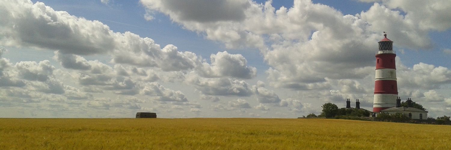 flosswright's profile banner image