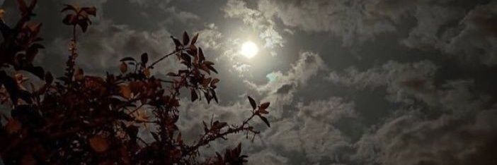 _iF34's profile banner image
