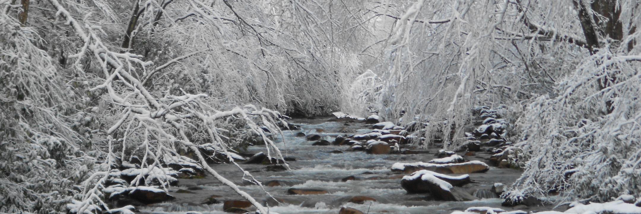 AdventuresAxess's profile banner image