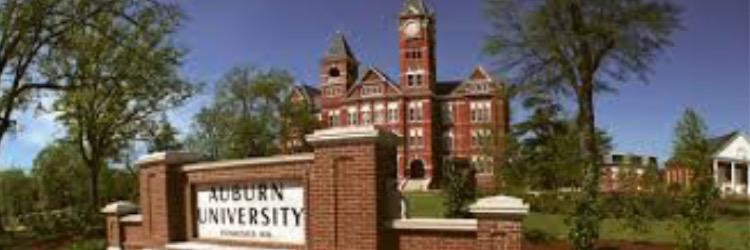 Courtney Langdon banner