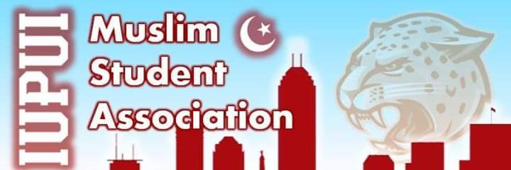 IUPUI_MSA's profile banner image