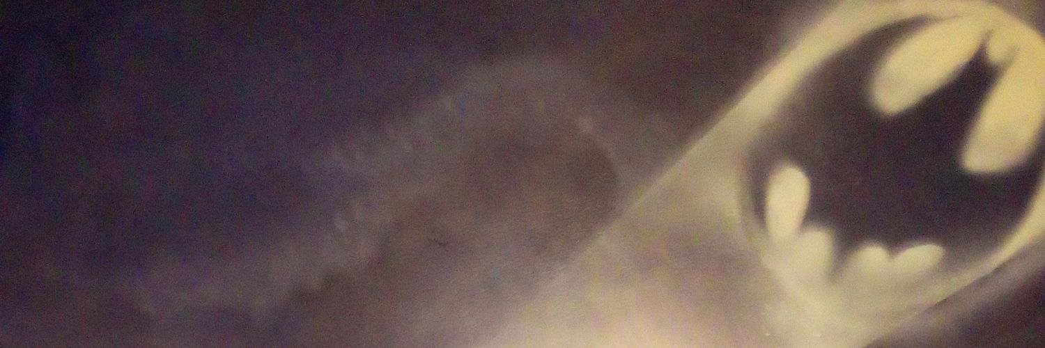 zebigsho's profile banner image