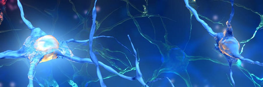 No Brainer 🧠 banner