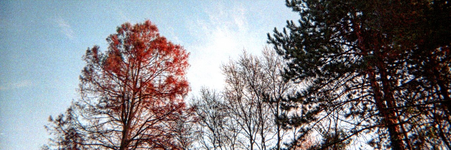 auravidal_'s profile banner image