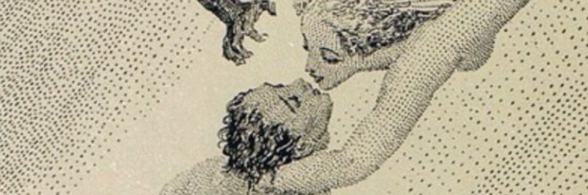 perchxt's profile banner image