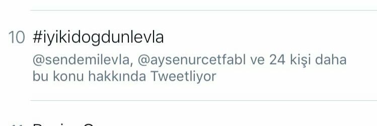 Levla banner