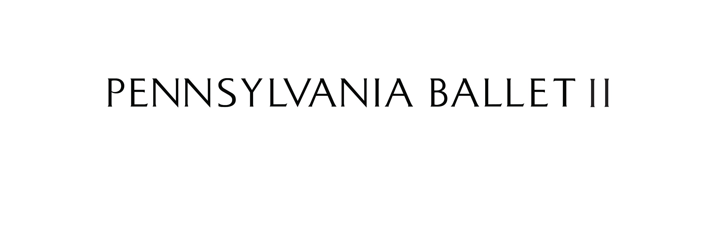 Paballet2's profile banner image