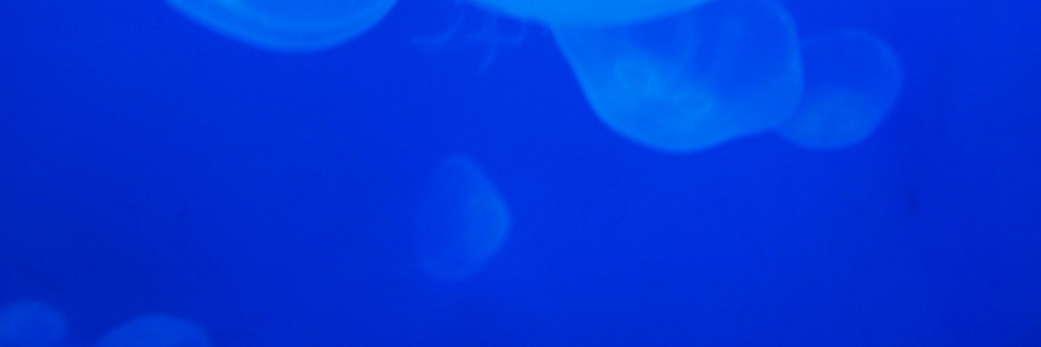 obbalondon's profile banner image