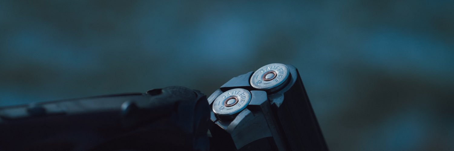 Gamebore Cartridges banner