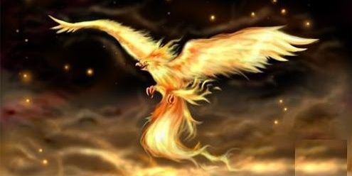 MadamSimurg's profile banner image