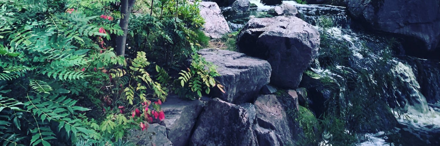 Shethethrone's profile banner image