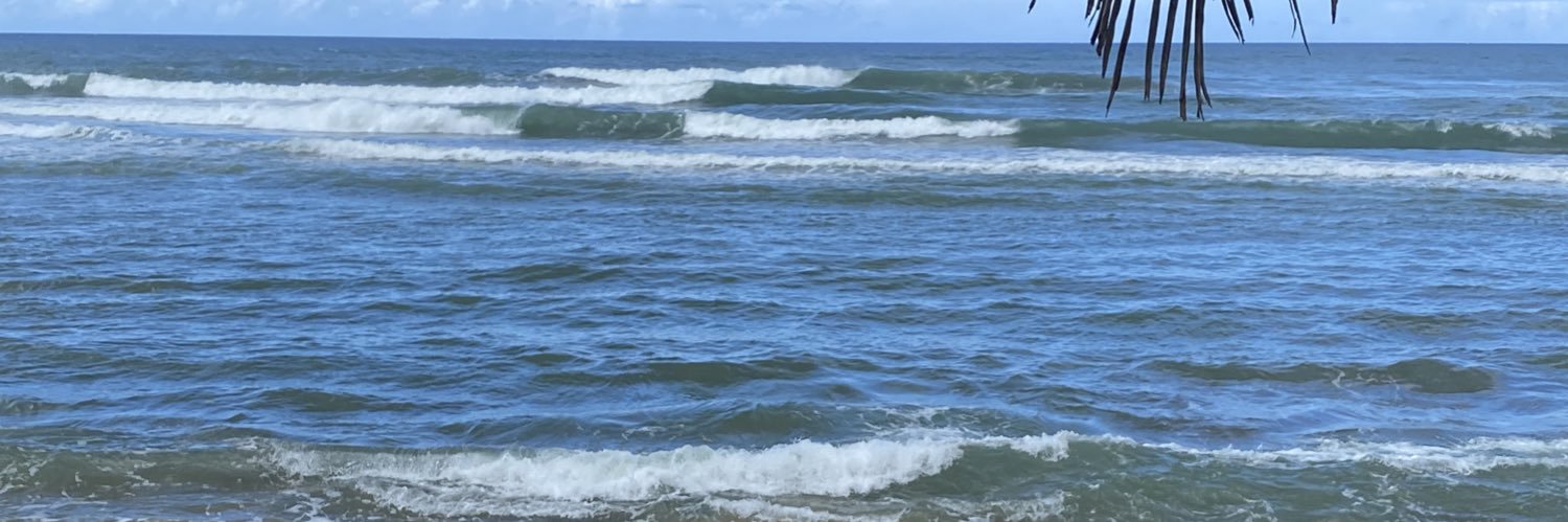 Lola Boricua banner